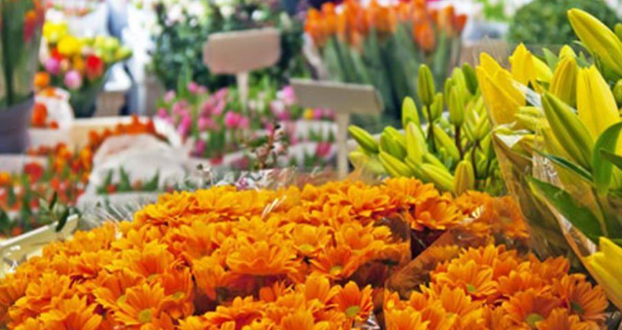 Burnhams Flower show and carnival 2022