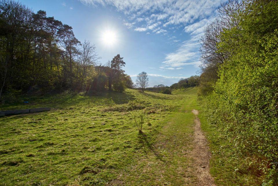 Ringstead Walks Circular Norfolk