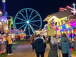 Winter Wonderland Lights at Night