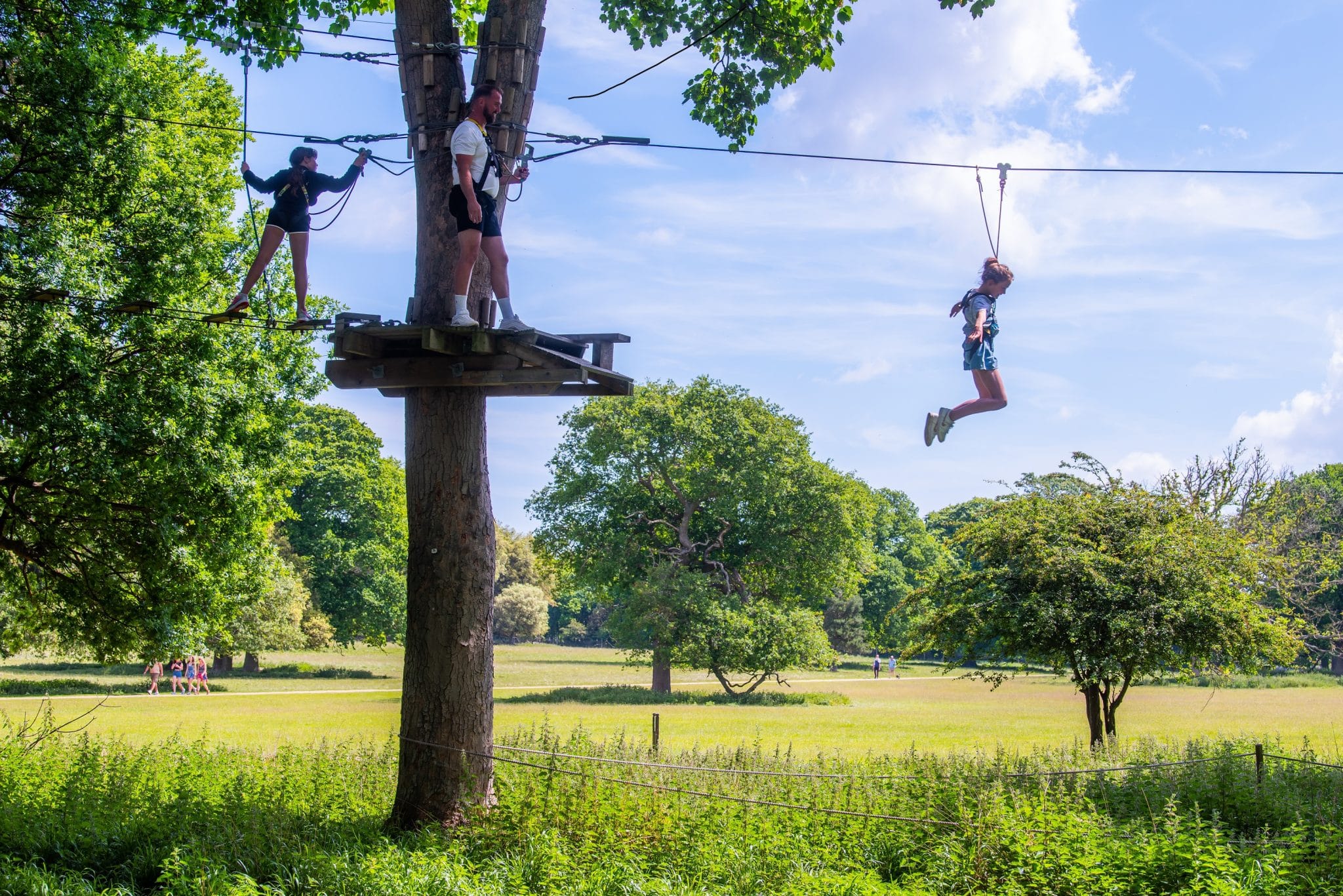 Holkham Ropes Course Norfolk