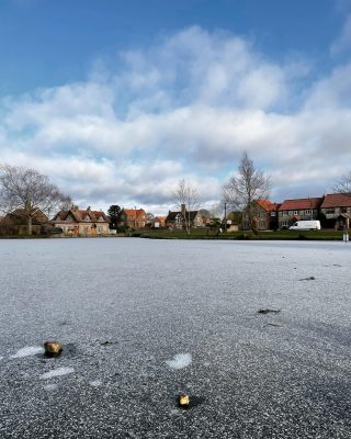The Great Massingham ponds froze last night. Really is one of the most beautiful villages in Norfolk. 🧊